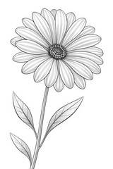 Colouring page for kids, hand drawn vector illustration of a cartoon Camel, pre school Colouring page, animal Colouring page, flower Colouring page, adult Colouring page, 