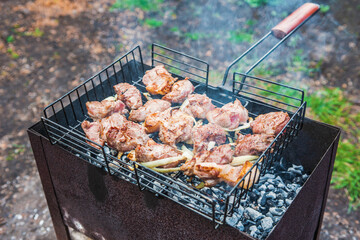 Shish kebab meat is grilled on coals with a barbecue in nature.