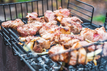 Close-up. Juicy pieces of kebab meat are grilled outdoors.