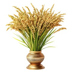 Fototapeta premium Golden rice plant in vase isolated on white background