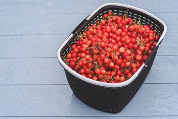 Basket with red cherries on a wet gray table.