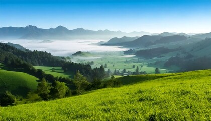 Fototapeta premium Paisaje de valle brumoso con campo verde y montañas brumosas; hermoso fondo de pantalla matutino; fondo pintoresco inspirador para pancartas o postales, espacio de copia, diseño de lugar, inspiración