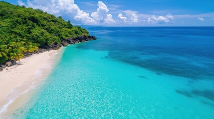 Obraz premium A tropical beach with turquoise waters, white sand, lush green trees, and a clear blue sky on a sunny day.