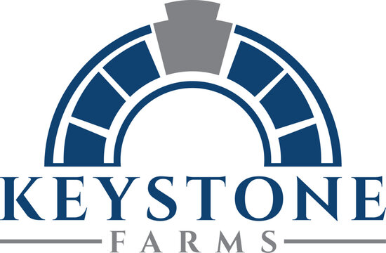 illustration vector graphic logo designs. cornerstone properties, brick building, foundation, point of view