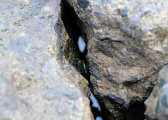stone background