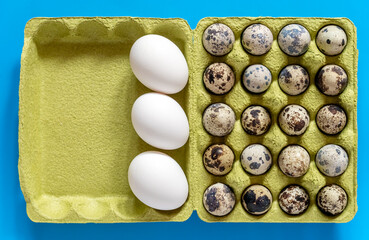 Сomplete container box of farm fresh quail eggs comparison with chicken eggs. Blue background. Top view.