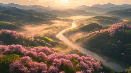 Serene Sunrise Landscape Misty River Valley with Blooming Cherry Blossoms