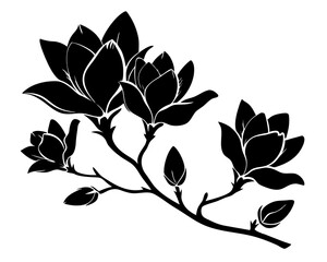 Magnolia Flowers Vector, Flowers illustration Svg Clipart