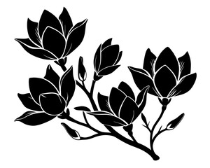 Magnolia Flowers Vector, Flowers illustration Svg Clipart