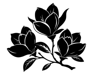 Magnolia Flowers Vector, Flowers illustration Svg Clipart