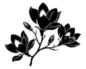 Magnolia Flowers Vector, Flowers illustration Svg Clipart