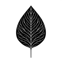 Black and White SVG of a Leaf Icon