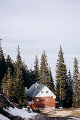 A cute and cozy little house in the mountains surrounded by pine trees.