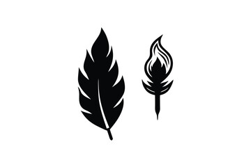 black and white feathers