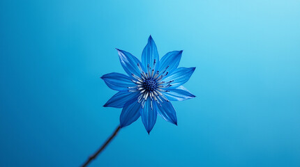 Microphotography of Minimalist Blue Mesh Pattern – Close-Up Texture and Geometry