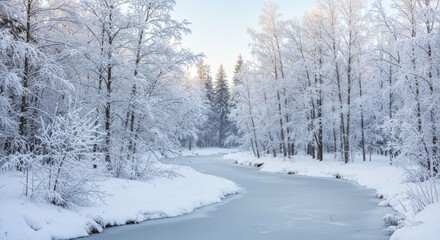 Frozen river flowing through a forest covered with snow