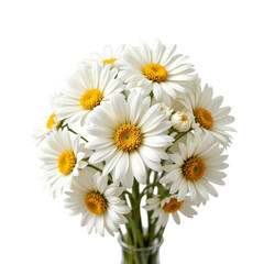 Obraz premium Beautiful bouquet of white daisies with yellow centers arranged in glass vase, radiating fresh and elegant charm