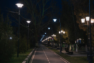 A Serene Night Pathway that is Beautifully Illuminated by Streetlights and Lights