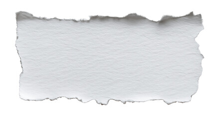 Torn paper with rough edge isolated on white background