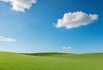 Fototapeta premium green field and blue sky
