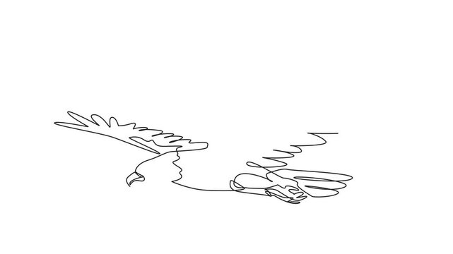 Animated self drawing of single one line drawing of dashing bald eagle bird fly in the sky stretching its wide wings freely. Mascot of United States of America. Full length single line animation