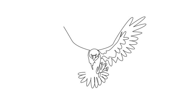 National Bird Day. Animation of one continuous line drawing of strong bald eagle posing ready to fly attack its prey. Wide open its feather wings. Template for poster, banner. Full length motion