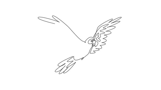 National Bird Day. Self drawing animation of one continuous line drawing of wild parrot bird flying freely in the sky and stretched out its feathered wings. Macaw bird flying. Full length animated