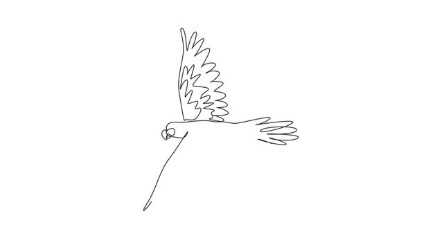 National Bird Day. Animated self drawing of one line drawing of beauty parrot bird flying high over the sky stretching its wide wings. Mascot logo for bird. Full length single line animation