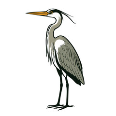 Heron 