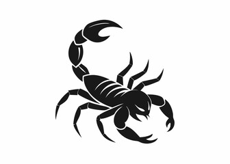 black scorpion isolated on white