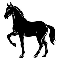 black horse vector illustration