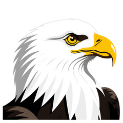 Fototapeta premium Bald_Eagle_Portrait-American_Symbol-Bird_of_Prey-Illustration