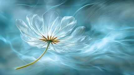 Delicate, ethereal tulip in teal haze