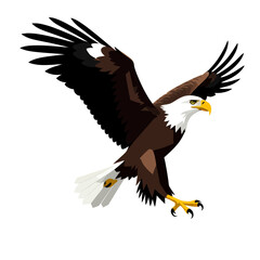 Fototapeta premium Bald-Eagle-Soaring-Vector-Illustration-American-Symbol