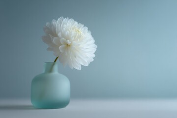 serene still-life scene showcases single flower vase centered on white table under soft studio lighting