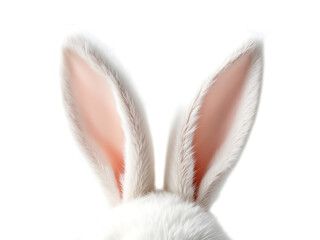 Close up of fluffy white bunny ears.
