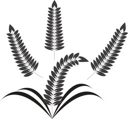 Fern leaf vector