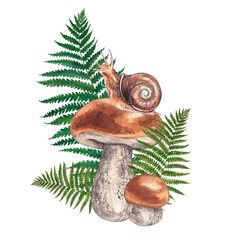 Birch bolete with fern and snail. Watercolor hand-drawn illustration. Composition for postcards and invitations on the theme of forest and nature. © Tana Svoboda