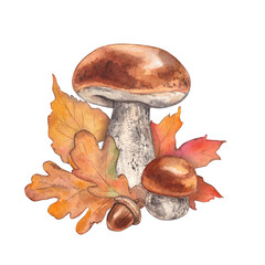Birch bolete with fern and snail. Watercolor hand-drawn illustration. Composition for postcards and invitations on the theme of forest and nature. © Tana Svoboda