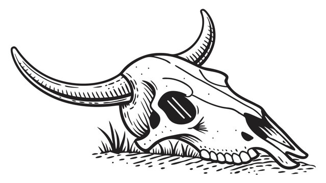 ink stippling cow skull illustration vintage style