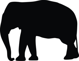 Adobe IllVector EPS Black Silhouette of an Elephant - Majestic Wildlife Illustration for Design and Art Projectsustrator Artwork