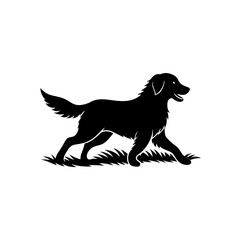 a golden retriever running in a meadow on white