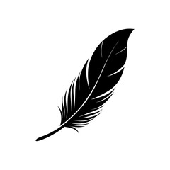 feather  a delicate  light colored feather  slight 