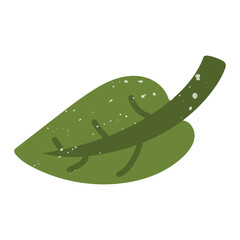 green lime leaf with a texture. Flat color isolated illustration with doodle elements. Greenery in the garden. Suitable for decorating children's and nature projects, prints, packaging, blogs