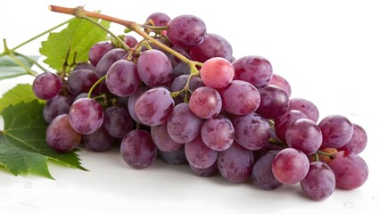 Fototapeta premium Black grapes 