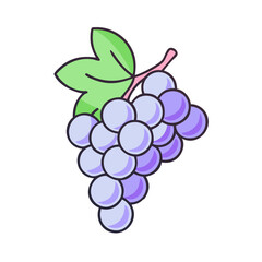 Illustration of fresh grapes with leaves, healthy fruit vector design, grape drawing, art