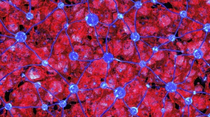 Complex interconnected networks red and blue hues abstract visualization of neural connections and technological system for presentations