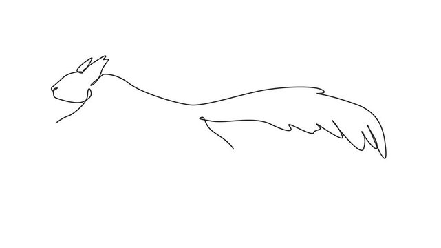 Animation of continuous line drawing squirrel is jumping. Natural behavior. Running. Avoiding incoming threats. National Squirrel Appreciation Day. One line self drawing animated. Full length motion
