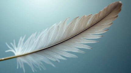 Close-Up of a Bird Feather – Delicate Structure and Intricate Details in Ultra-Realistic Microphotography