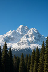 Snowy mountain range rising above a forest of pine trees under clear blue sky